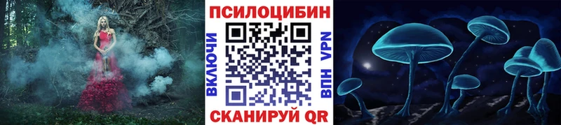 Купить где  Родники  Псилоцибиновые грибы Cubensis 